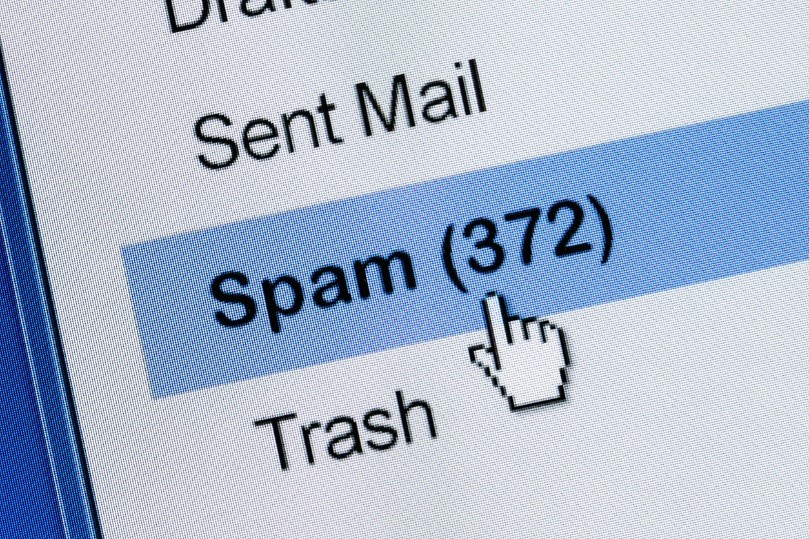 Spam email notification
